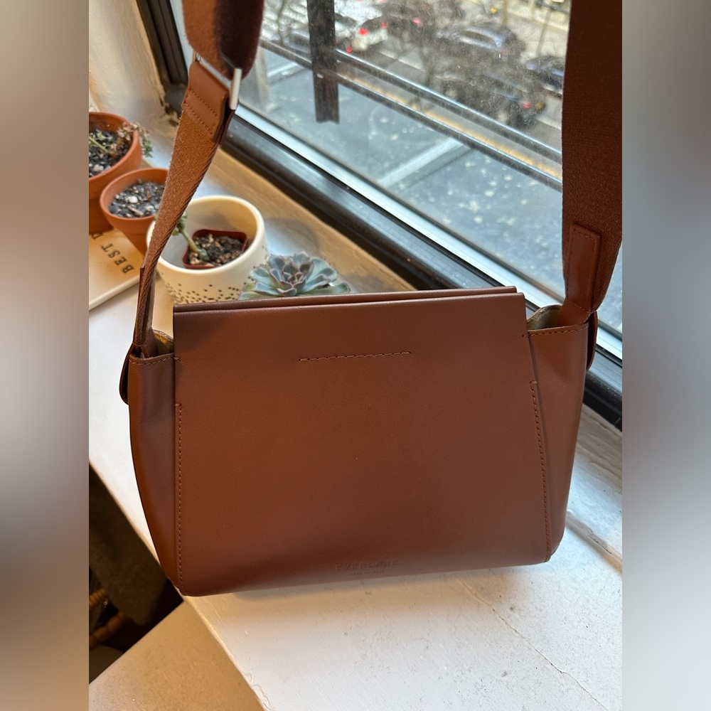 Everlane Mini Form Bag